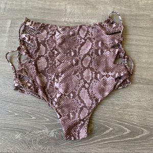 Acacia Queens python in Large